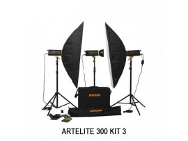 Paket Studio Golden Eagle Artelite 300 Kit 3